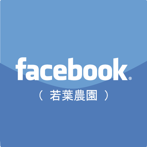 Fakcebook（若葉農園）