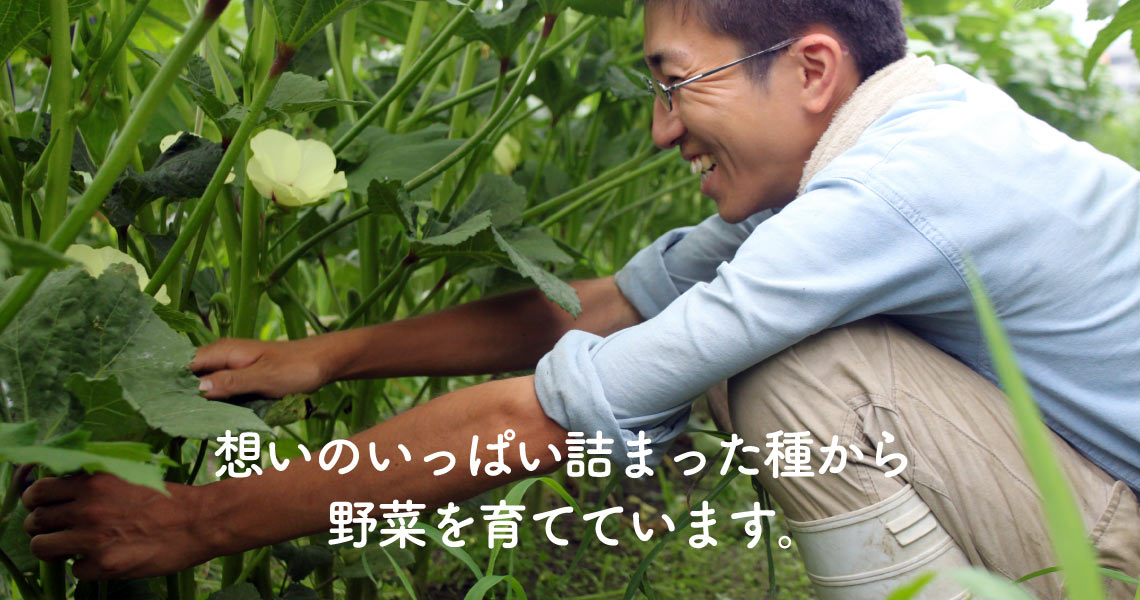 想いのいっぱい詰まった種から野菜を育てています。