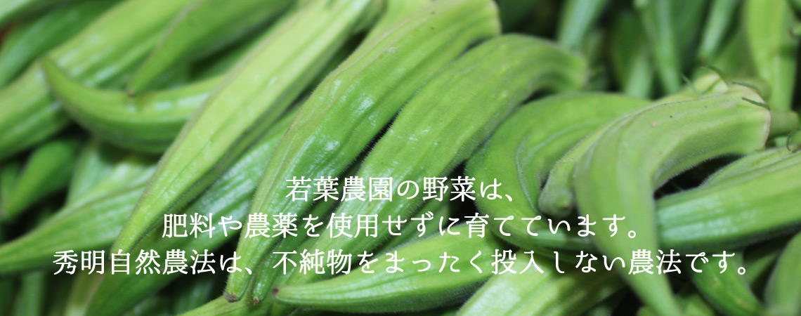 若葉農園の野菜は、肥料や農薬を使用せずに育てています。秀明自然農法は、不純物をまったく投入しない農法です。