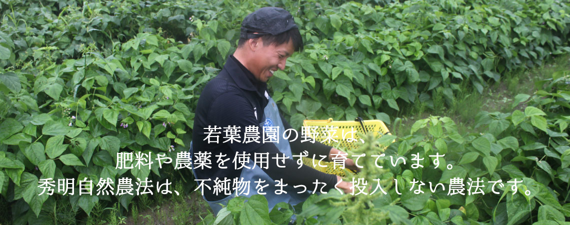 若葉農園の野菜は、肥料や農薬を使用せずに育てています。秀明自然農法は、不純物をまったく投入しない農法です。